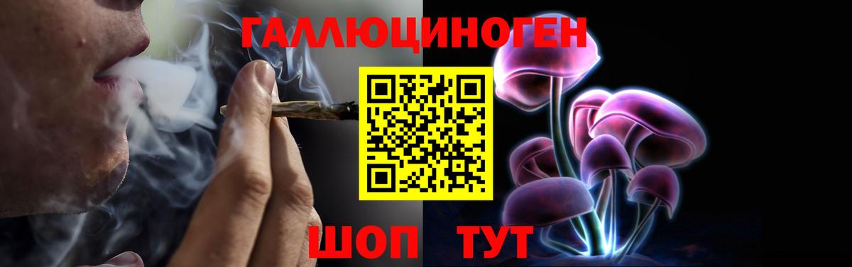 Благодарный  Галлюциногенные грибы Cubensis  Вход с VPN 
